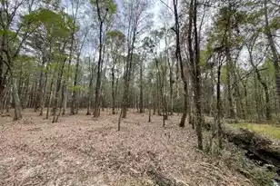 113 Gen Estates Ln, Summerville, SC 29486 - Photo 22