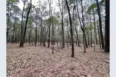 113 Gen Estates Lane, Summerville, SC 29486 - Photo 24