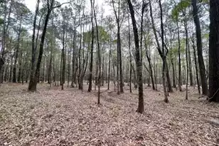 113 Gen Estates Ln, Summerville, SC 29486 - Photo 24