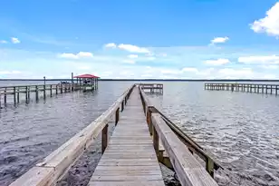 3550 Princess Pond Rd, Summerton, SC 29148 - Photo 60