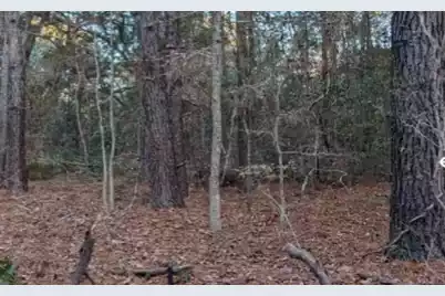 1981 Liberia Road, Wadmalaw Island, SC 29487 - Photo 2