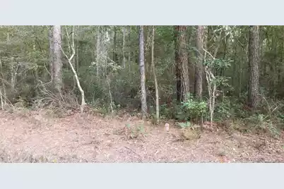 0 Buckhead Road, Smoaks, SC 29481 - Photo 2