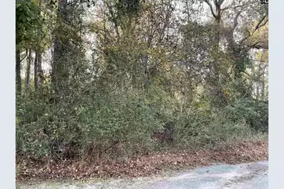 3551 Moonlight Road, Barnwell, SC 29812 - Photo 2