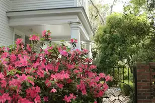 458 Hampton St, Walterboro, SC 29488 - Photo 90