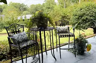 465 Pike St, Orangeburg, SC 29115 - Photo 6