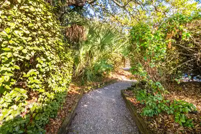 6 Ocean Park Court, Isle Of Palms, SC 29451 - Photo 66