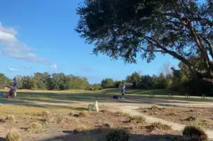 109 Waveney Cir, Goose Creek, SC 29445 - Photo 44