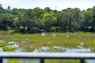 172 Mary Ellen Dr, Charleston, SC 29403 - Photo 62