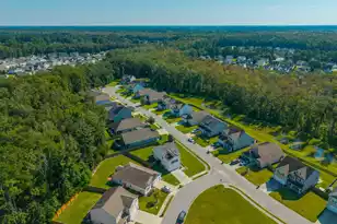 228 Goshen Rd, Moncks Corner, SC 29461 - Photo 58