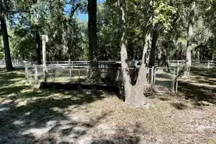 4691 Summit Plantation Rd, Meggett, SC 29449 - Photo 36