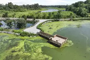 460 Tulip Poplar Dr, Moncks Corner, SC 29461 - Photo 44