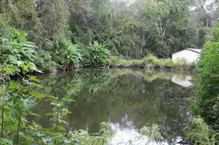 338 Browning Rd, Elloree, SC 29047 - Photo 16