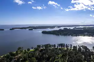 1229 Lemon Ave, Manning, SC 29102 - Photo 32