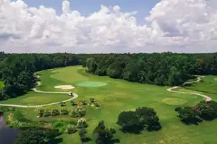 9126 Maple Grove Dr, Summerville, SC 29485 - Photo 34