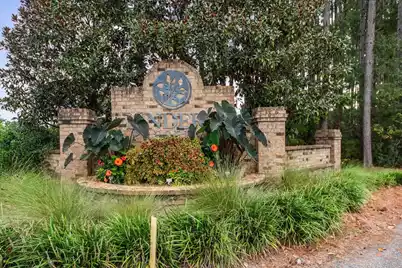 260 Overcup Loop, Summerville, SC 29486 - Photo 54