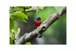 2762 Mawood Ave, North Charleston, SC 29406 - Photo 28