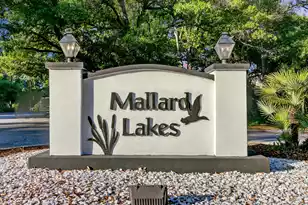 1224 Decoy Ct, Mount Pleasant, SC 29464 - Photo 44