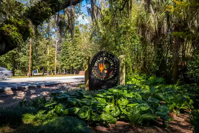 614 Du Bois Drive, Johns Island, SC 29455 - Photo 56