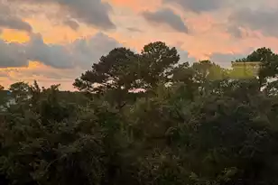 1984 Folly Road, Charleston, SC 29412 - Photo 24