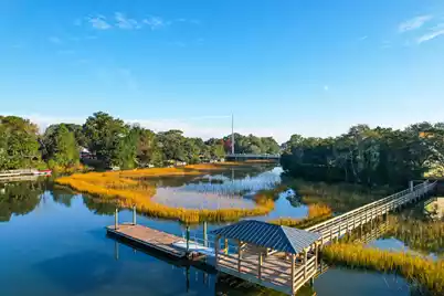 830 Curved Creek Court, Charleston, SC 29412 - Photo 8
