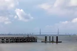 2020 Sea Water Dr, James Island, SC 29412 - Photo 38