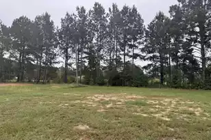 437 Cedar Crest Dr, Tillman, SC 29943 - Photo 4