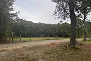 437 Cedar Crest Dr, Tillman, SC 29943 - Photo 2