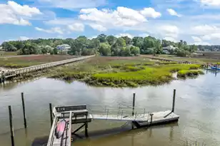 1756 Greenspoint Ct, Mount Pleasant, SC 29466 - Photo 42