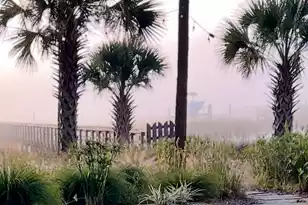 1756 Greenspoint Ct, Mount Pleasant, SC 29466 - Photo 46