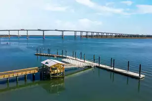 1459 Wando Landing St, Charleston, SC 29492 - Photo 70