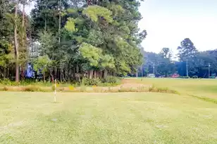 839 Burgin Rd, McClellanville, SC 29458 - Photo 2