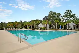 4029 Wood Violet Ln, Summerville, SC 29483 - Photo 62