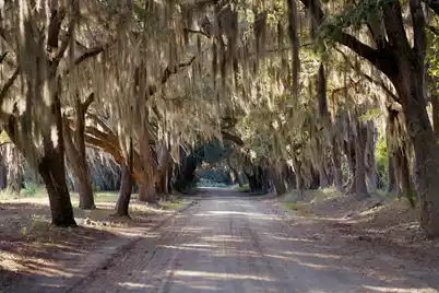 1451 River Road, Yemassee, SC 29945 - Photo 20