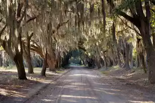 1451 River Rd, Yemassee, SC 29945 - Photo 20