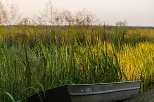 1451 River Rd, Yemassee, SC 29945 - Photo 102