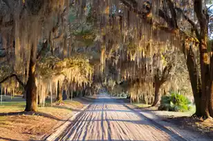 1451 River Rd, Yemassee, SC 29945 - Photo 100