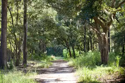 1451 River Road, Yemassee, SC 29945 - Photo 108