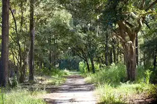 1451 River Rd, Yemassee, SC 29945 - Photo 108