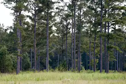 1451 River Road, Yemassee, SC 29945 - Photo 106