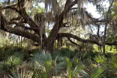 1451 River Road, Yemassee, SC 29945 - Photo 92