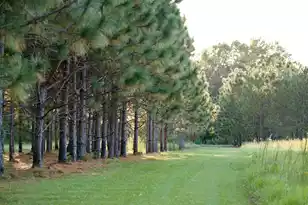 1451 River Rd, Yemassee, SC 29945 - Photo 88