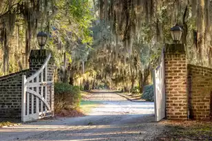 1451 River Rd, Yemassee, SC 29945 - Photo 6