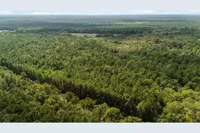 130 Tygerpaw Trail, Saint Stephen, SC 29479 - Photo 12