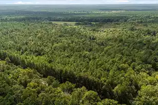 130 Tygerpaw Trl, Saint Stephen, SC 29479 - Photo 12