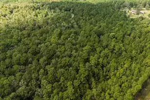 130 Tygerpaw Trl, Saint Stephen, SC 29479 - Photo 8