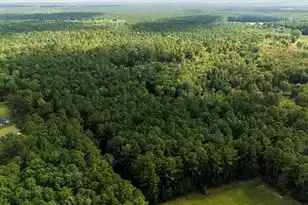 130 Tygerpaw Trl, Saint Stephen, SC 29479 - Photo 14