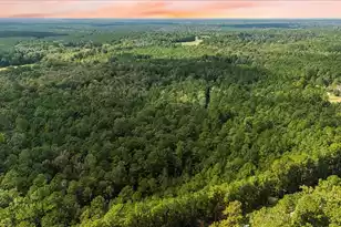 130 Tygerpaw Trl, Saint Stephen, SC 29479 - Photo 4