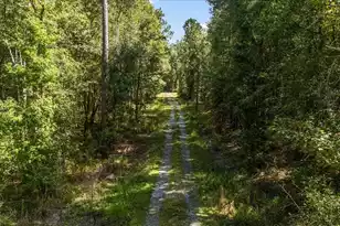 130 Tygerpaw Trl, Saint Stephen, SC 29479 - Photo 18