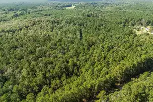 130 Tygerpaw Trl, Saint Stephen, SC 29479 - Photo 20