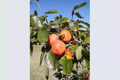 1014 Fire Hill Road, Walterboro, SC 29488 - Photo 158